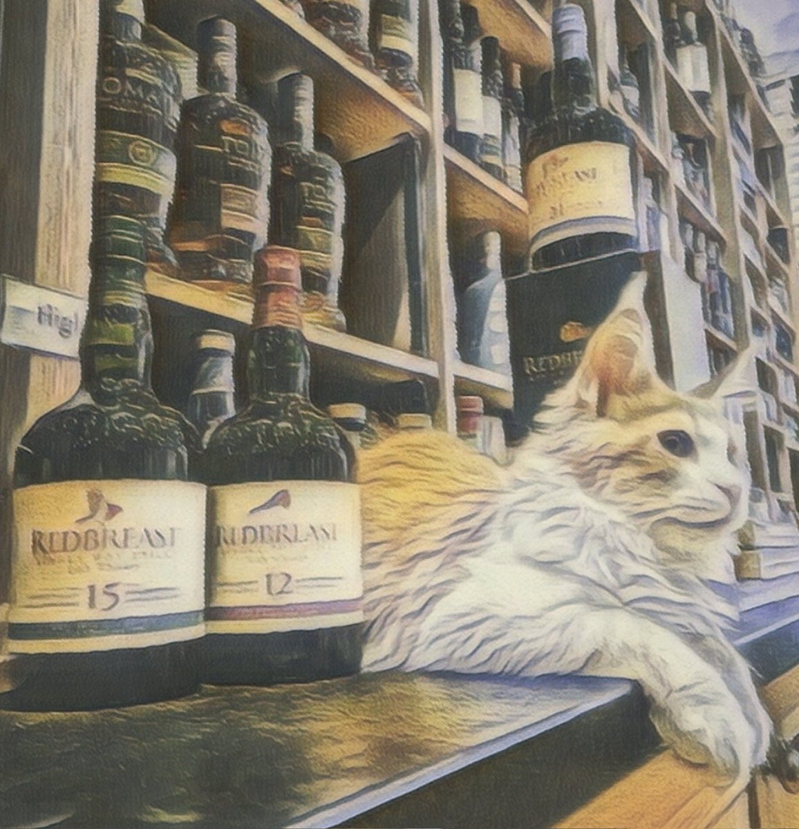 Thursday was a hard day at work for our fluffy CEO so he decided to treat himself to a dram of @redbreastirishwhiskey
A smooth, rich whiskey that is full of warm fruits with a texture like brandy butter.