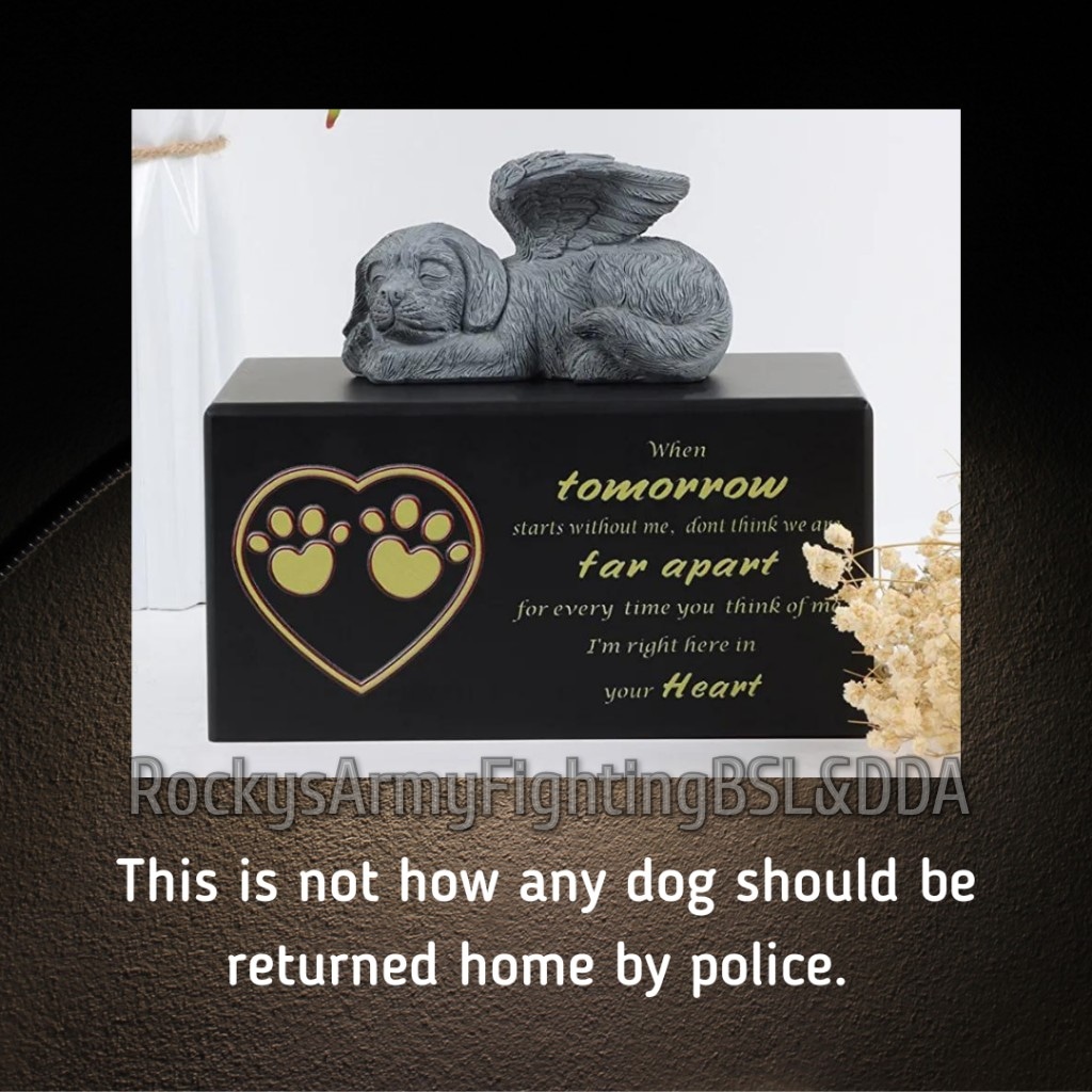 JusticeForEscoAndFriends tweet media