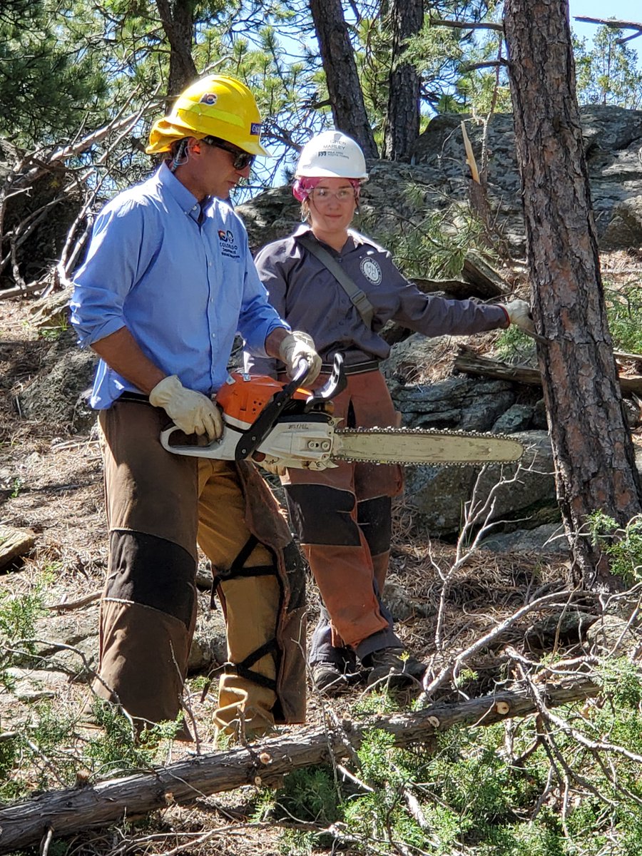 Dan Gibbs tweet media