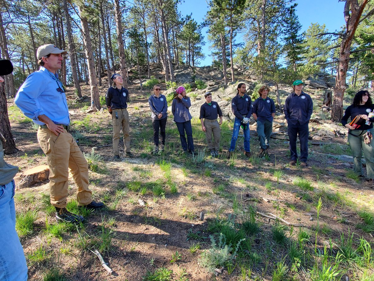 Dan Gibbs tweet media