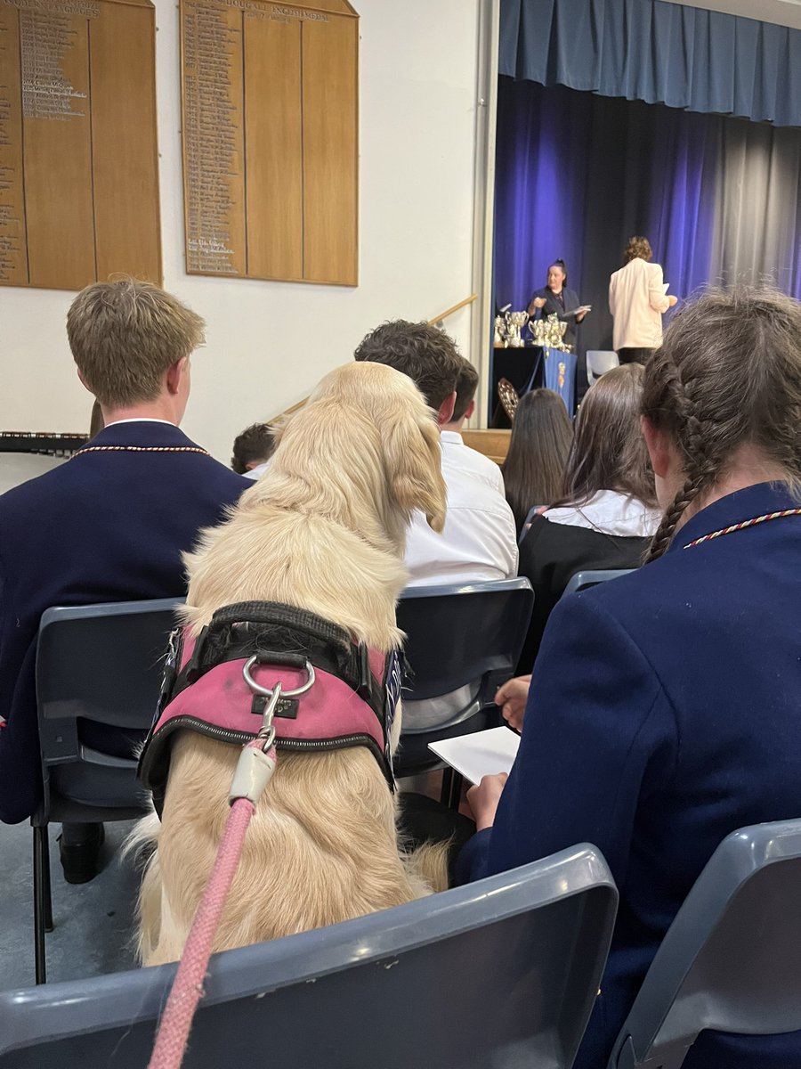 Last night the Wellbeing Captains of 2022-23 were awarded the Parent Council Special Achievement award at senior prize giving. How wonderful that their exceptional efforts, commitment and enthusiasm were rewarded.  Huge congratulations team. 💙
