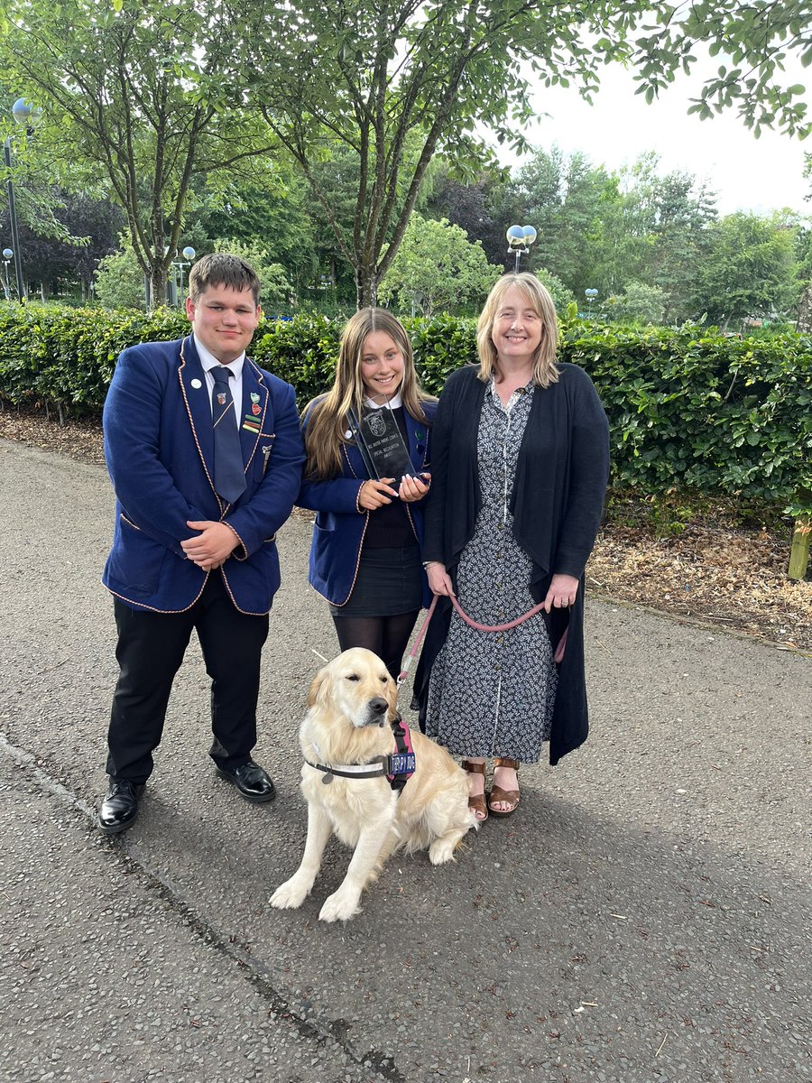 Bella the Therapy Dog tweet media