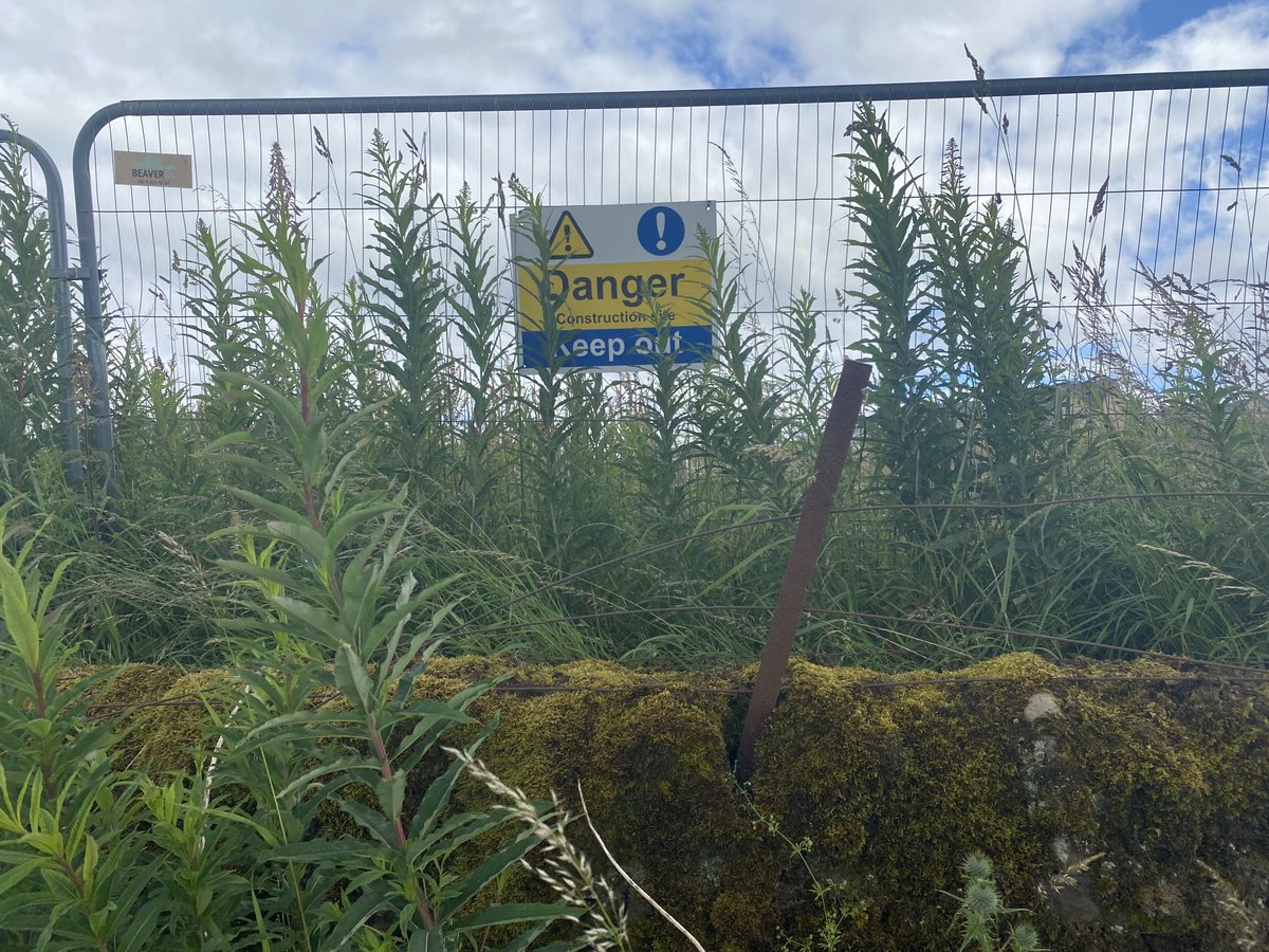 EticaConsults's tweet photo. This was a tree lined field with #hedges. ⁦@muirhomes⁩ came and trashed it for 🏠. They are now sitting on it waiting till they get more plans through so it waits..no use for people or nature! ⁦@PlanDemoc⁩ ⁦@CommunityPlann1⁩ #socialinjustice #communityaction https://t.co/2826dMfbE3