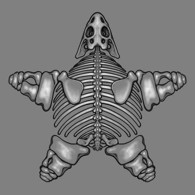 「skeleton」 illustration images(Latest｜RT&Fav:50)｜5pages