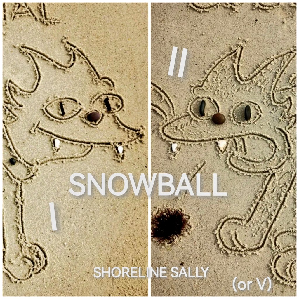 DigiDaughter's tweet photo. Be Original 🤍 Cough It Up 🖤 #SnowballI #SnowballII ❄️ #snowball @thesimpsons #cats #pets #miaow #FiveCats 🐱
💛 #Covid2022 #Lockdown2021 #morale #VitaminSea 🌊🌊🌊 #DuneToons #Lockdown2020 #comics #cartoons ✍️ #SandBanksy #shorelinesally Character No.1918-9 https://t.co/3aSGbbJcTX