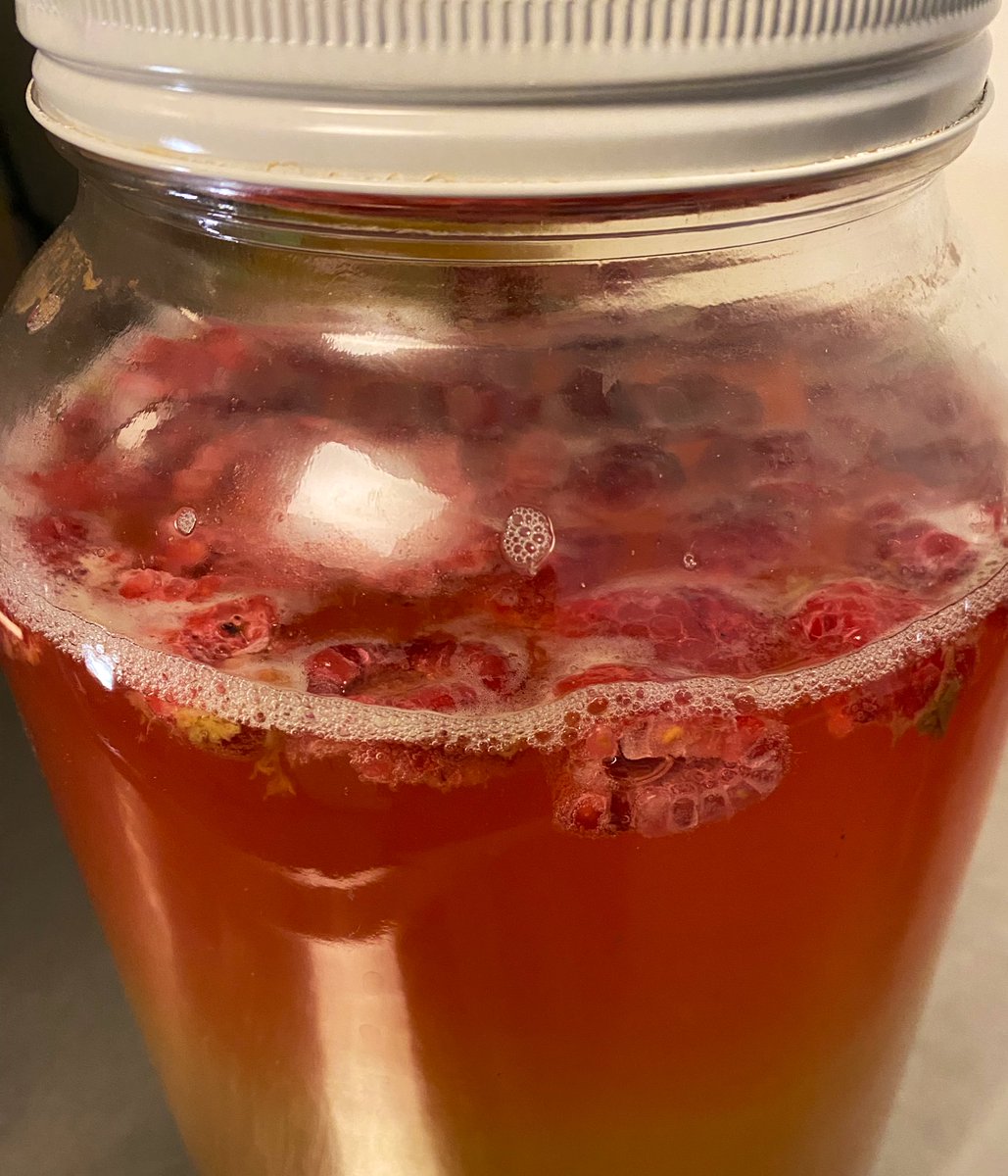 BoochinKombucha's tweet photo. Raspberry Jun Kombucha is back this week and we’ve already starting brewing more to ensure it’s around next week too! @UP_Farmrs_Markt 

See you soon! https://t.co/1efaL61I2T