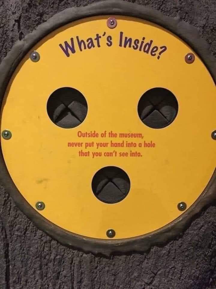 Alex🌈 tweet media