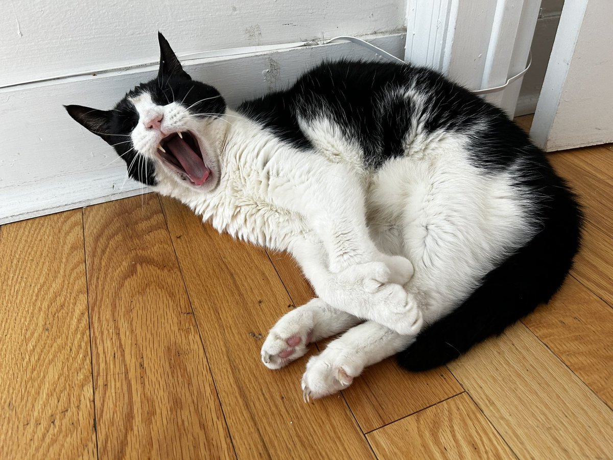 🚨 BIG YAWN ALERT 🚨