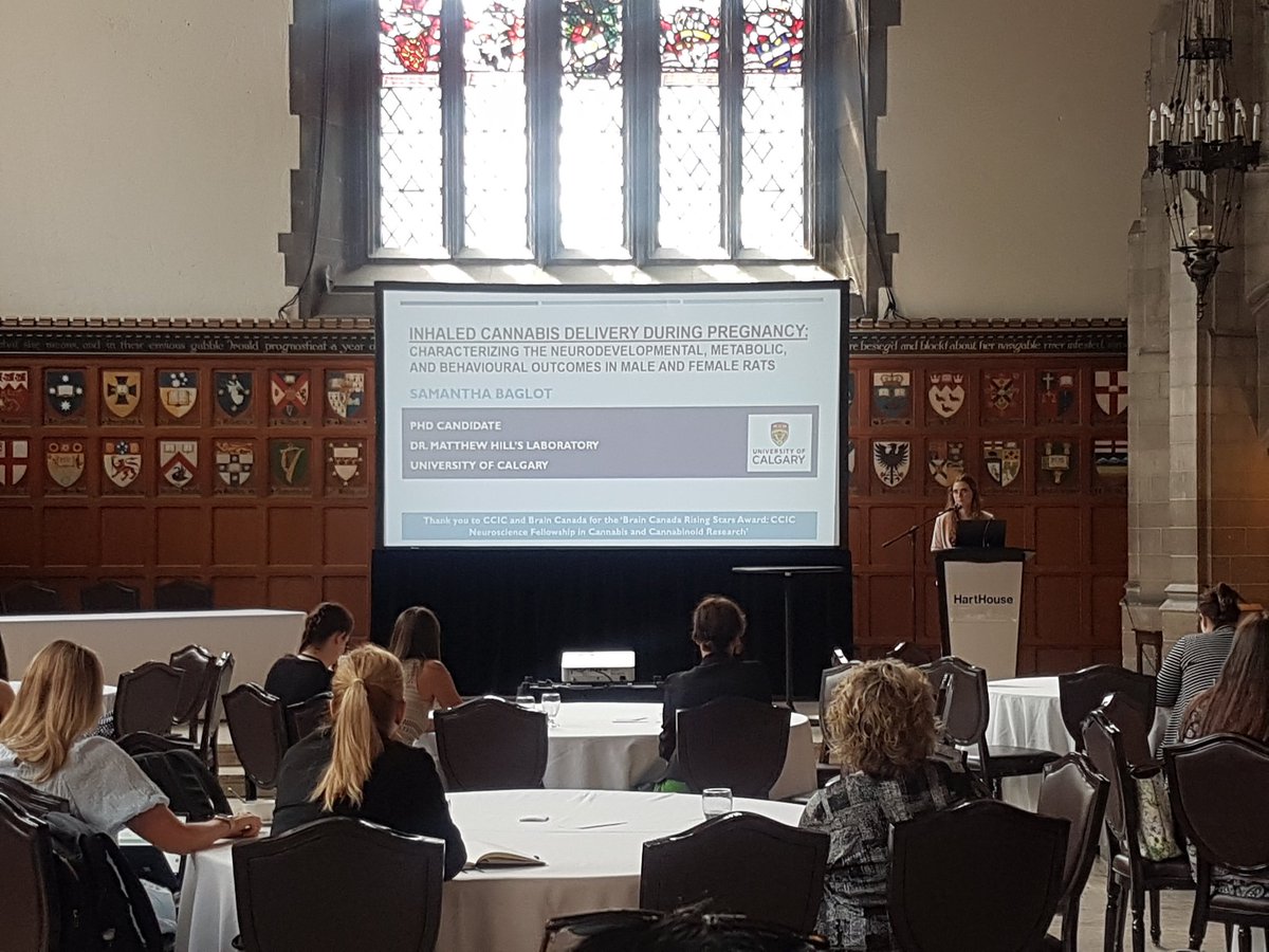 cat_hume's tweet image. Feeling like a proud lab mamma 😊

The Hill lab smashed #CCIC2023 &amp;amp; #ICRS2023Toronto 💪

@s_baglot @savvlightfoot @JessScheufen @canna_brain @ccictweeter @ICRS_Society