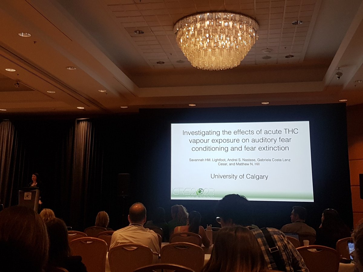 cat_hume's tweet image. Feeling like a proud lab mamma 😊

The Hill lab smashed #CCIC2023 &amp;amp; #ICRS2023Toronto 💪

@s_baglot @savvlightfoot @JessScheufen @canna_brain @ccictweeter @ICRS_Society