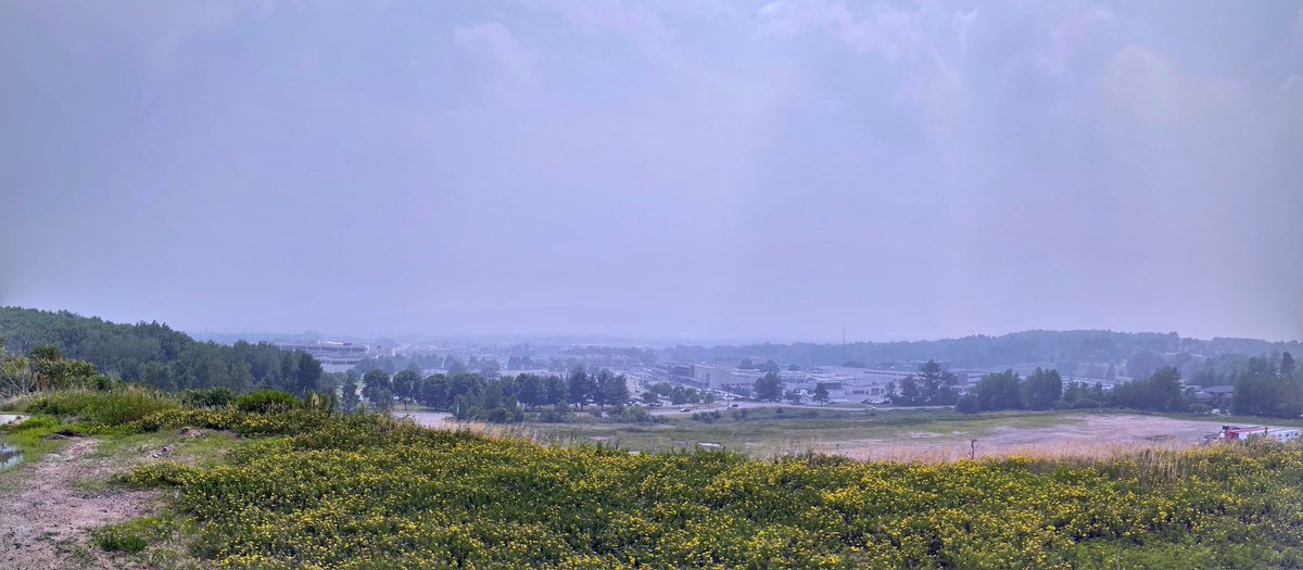 kenamundsen tweet media