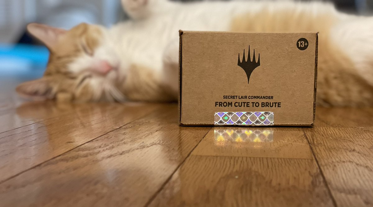 🐱 From Cute to Brute Giveaway! 🐱 
To enter:
🐾 Have a USA shipping address
🐾 Like
🐾 Retweet
🐾 Follow
Fake bonus points for commenting with a picture of your cute furry friend. 
Winner will be announced July 14th! Good luck! :)