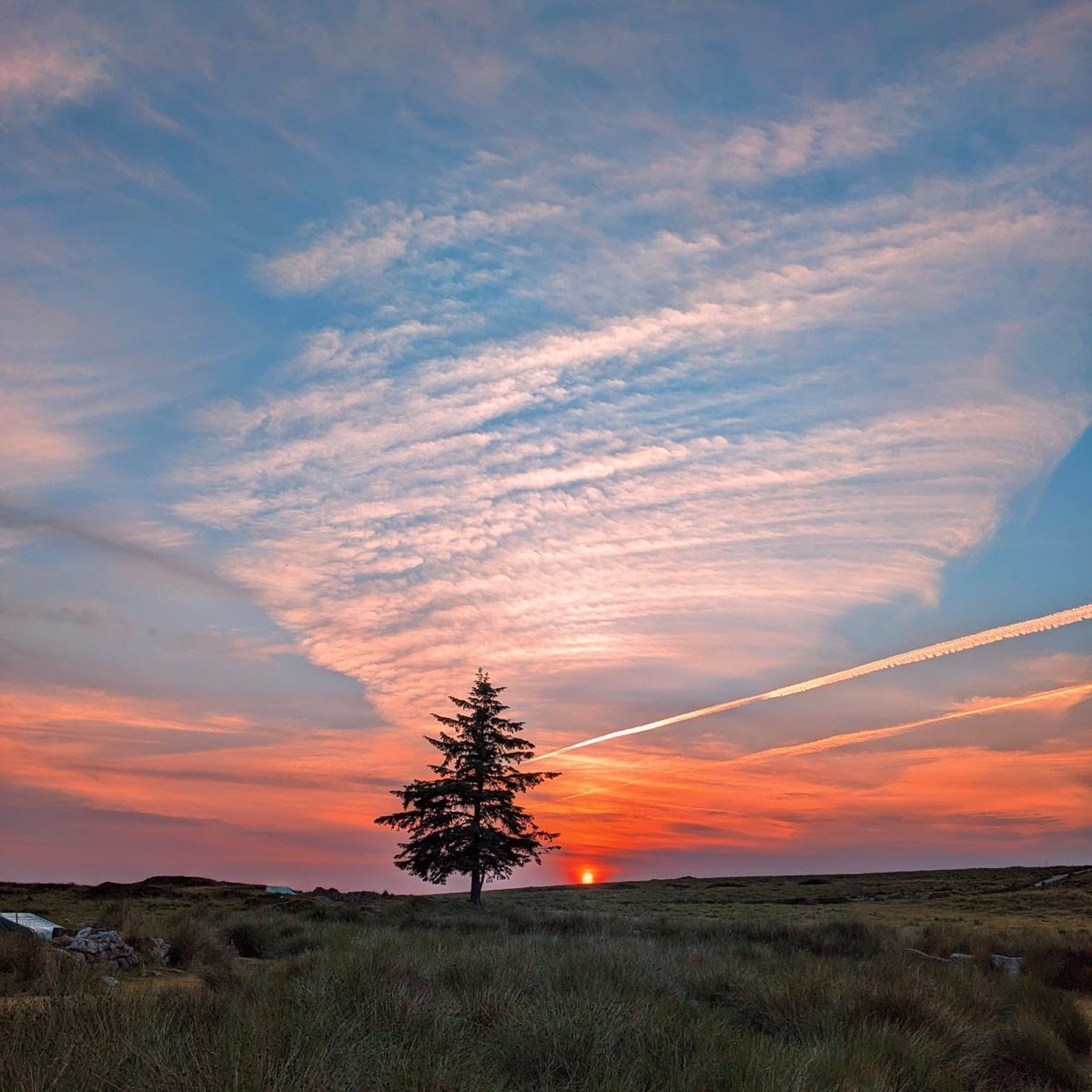 SFSOxford's tweet photo. Not a bad view for our Leavers as they settle down to camp on Dartmoor after a busy day gorge walking, rock climbing and abseiling. #LeaversProgramme #Dartmoor #adventure #challenge #sunset https://t.co/N6OFur6lhz