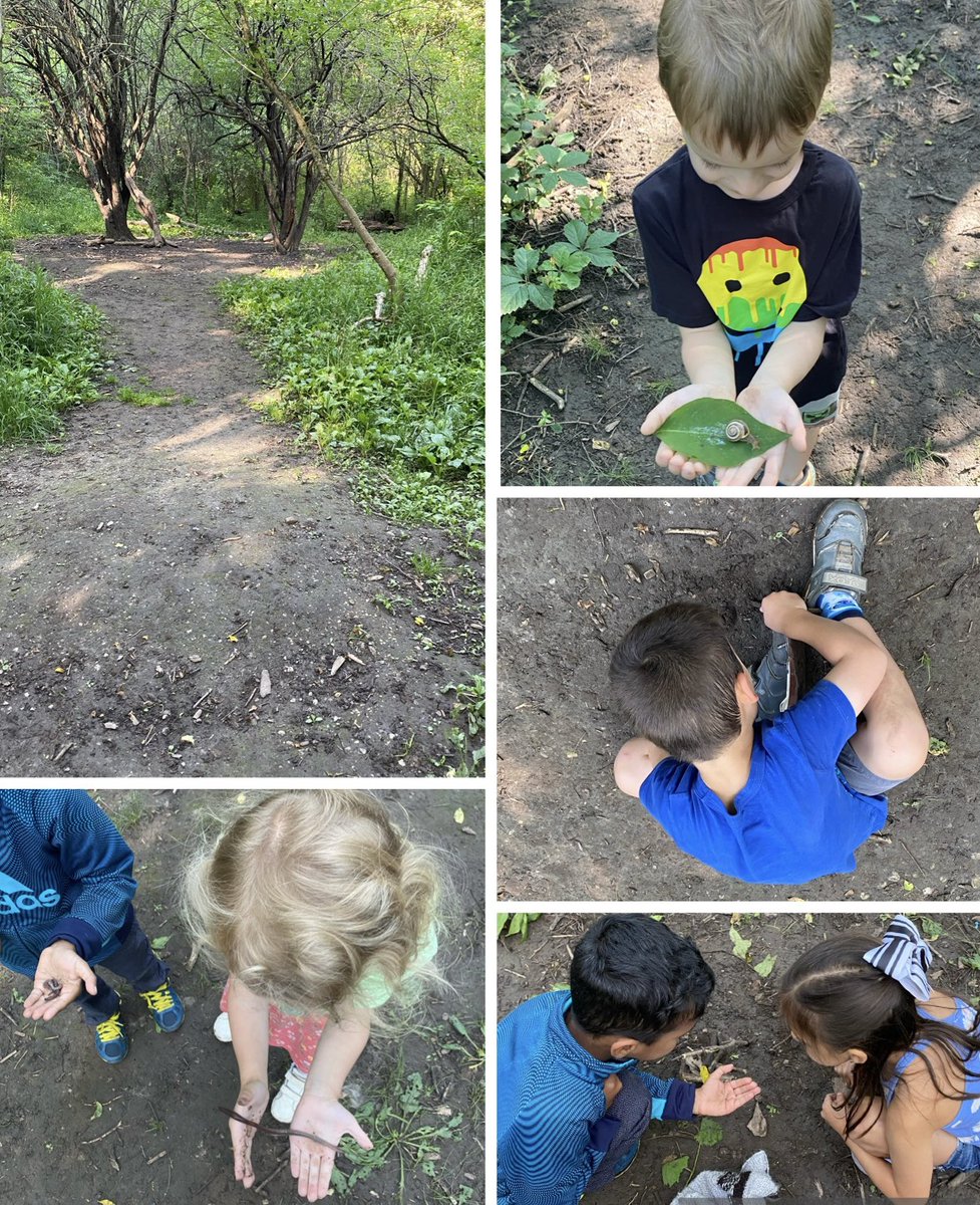 Our final forest school day was bittersweet! #exploringnature #lastday #goodbyeforest <a href="/DonnellyEmilie/">Mrs. Donnelly</a> <a href="/louisearbourfi/">Louise Arbour FI</a>