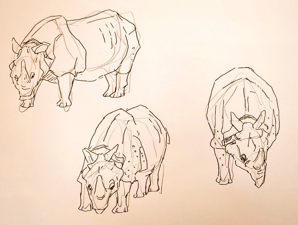 #1日1模写 Ⅲ　185/365
今日はサイと遊具でした🥰🥳✨
サイ、これ現代の恐竜でしょ😅
#無煙マッチ　#マンレボ https://t.co/UWc5hHMjno