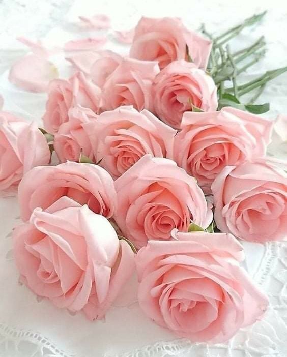 SpringBlossoms9's tweet photo. https://t.co/oSjBfwm9Jc