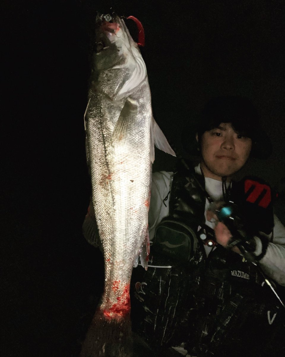 yamaga_takumi's tweet photo. ブレイクで明らかなリトリーブスピードを遅くしてのバイト💥

狙い通り🔥
 #山豊テグス #FAMEL #PEレジンシェラー8 #耐摩耗ショックリーダー https://t.co/amGp62Pyby