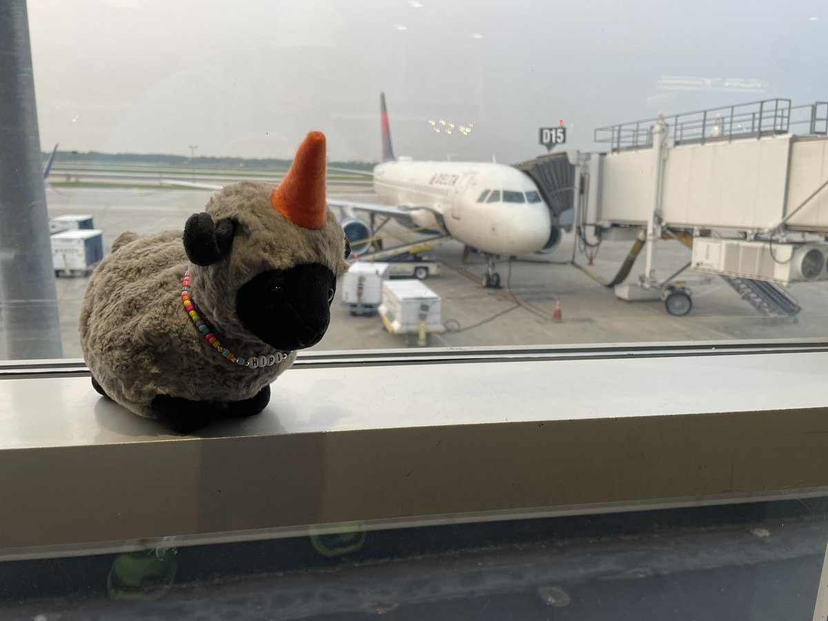t_ward18's tweet photo. @hapara_team Hipi enjoyed the trip back to North Dakota from #ISTE2023. Can’t wait to see what adventures are ahead. https://t.co/lQRW0Nva4L