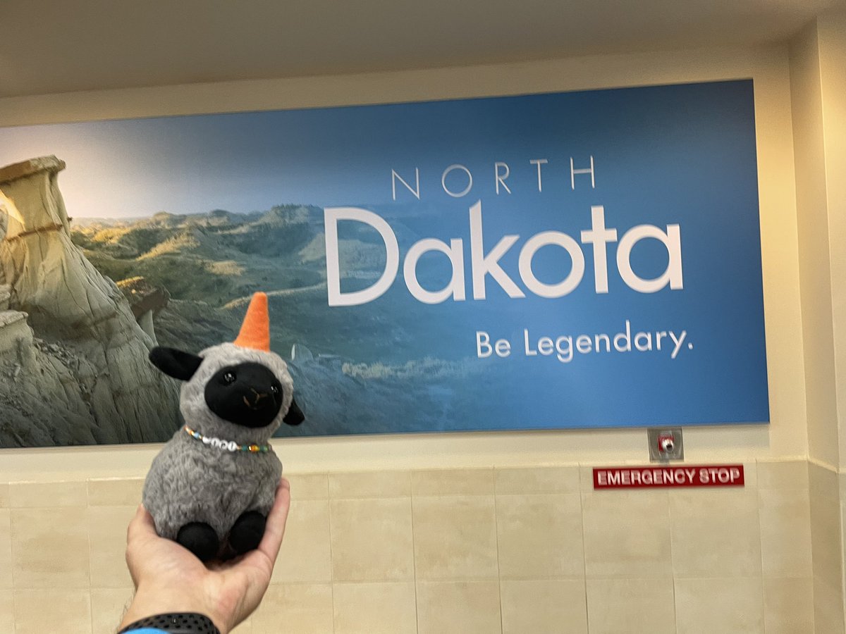 t_ward18's tweet photo. @hapara_team Hipi enjoyed the trip back to North Dakota from #ISTE2023. Can’t wait to see what adventures are ahead. https://t.co/lQRW0Nva4L