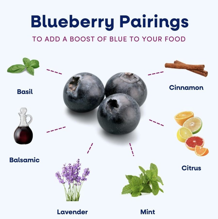 blueberries's tweet photo. Blueberries are the perfect companion to elevate all of your favorite dishes! 🙌 From basil and balsamic to citrus and cinnamon, you can’t go wrong when pairing a boost of blue with these flavors. https://t.co/WqenpzRemj