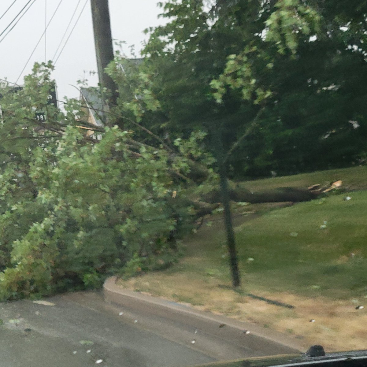 MrsBsedor's tweet photo. @NWSBoulder This was in Greencastle, indiana. Lots of trees down. https://t.co/CYDunuERJ9
