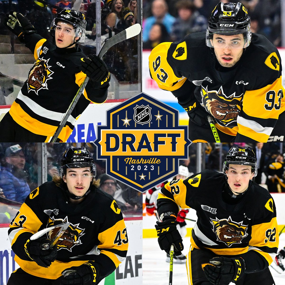 The Brantford Bulldogs are extremely proud to see 4 of our own selected during the 2023 #NHLDraft!

Details: hamiltonbulldogs.com/article/four-b…

#DawgMentality | #WeBuild | #OHL 
#Blackhawks | #ALLCAPS | #GoHabsGo | #NJDevils