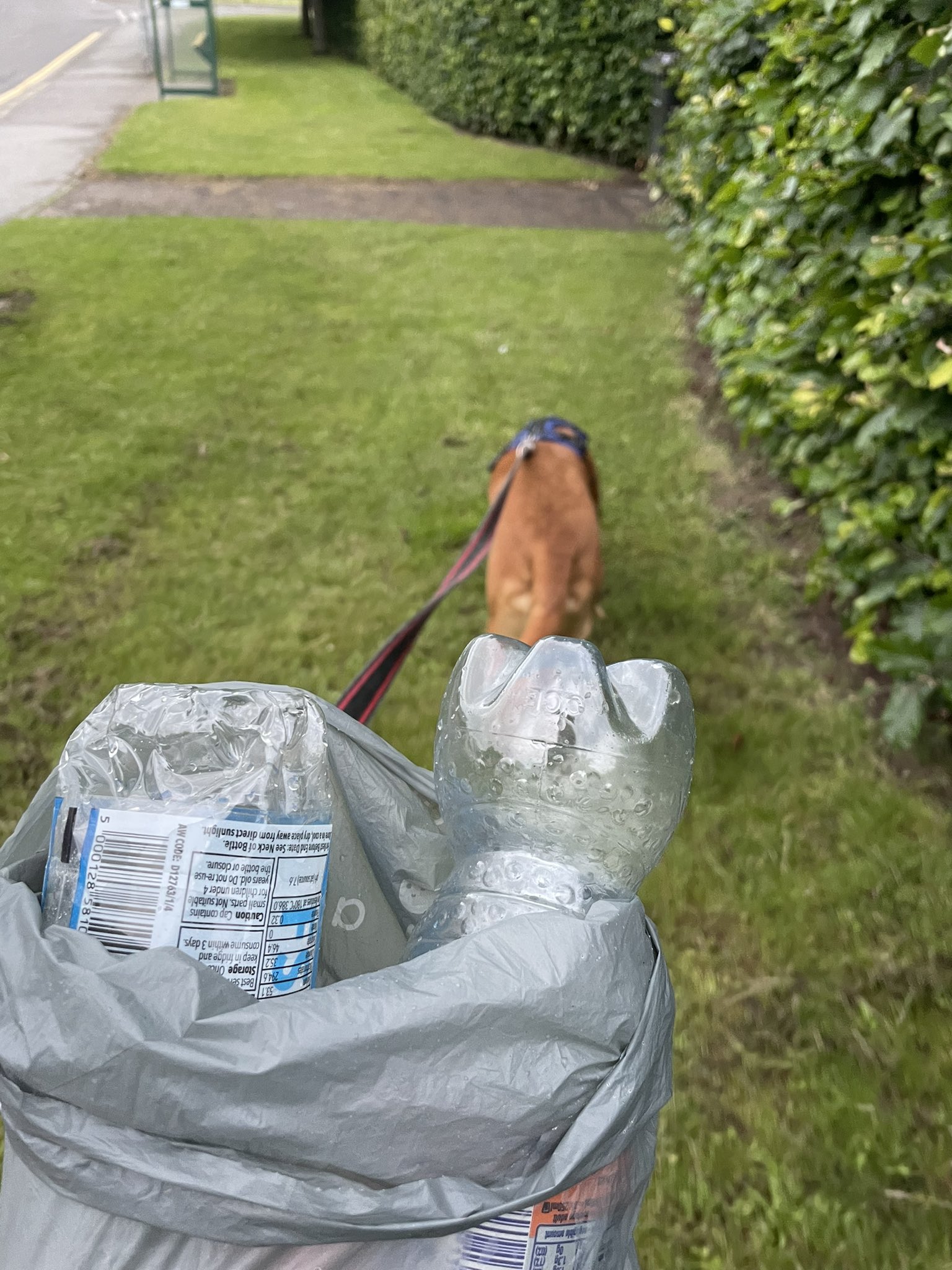 Paws On Plastic pawsonplastic on Twitter "Another disposable vape