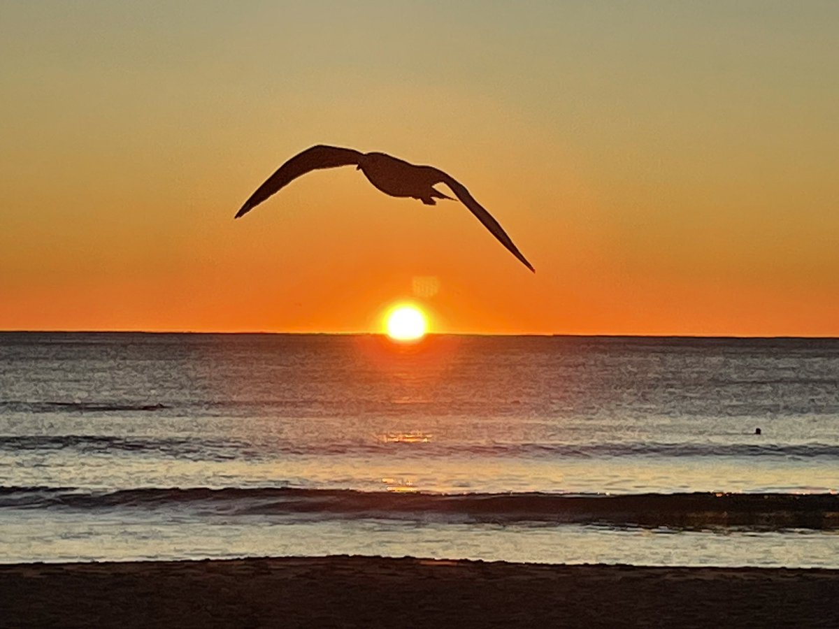 Alex Butt tweet media