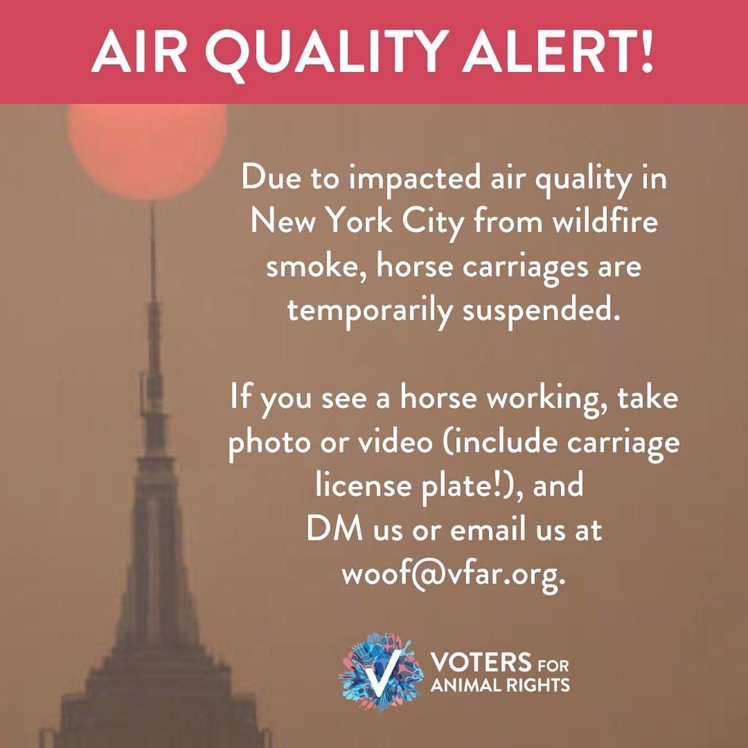 theanimalvoters's tweet photo. 🚨ALERT: Horse carriages are currently suspended due to today's impact air quality from the Canadian wildfires.

Please be vigilant &amp; speak up when you see NYC carriage horses working during a suspension. 🐴

Take photo/video &amp; immediately DM us or email woof@vfar.org https://t.co/gjynHq8Bkk