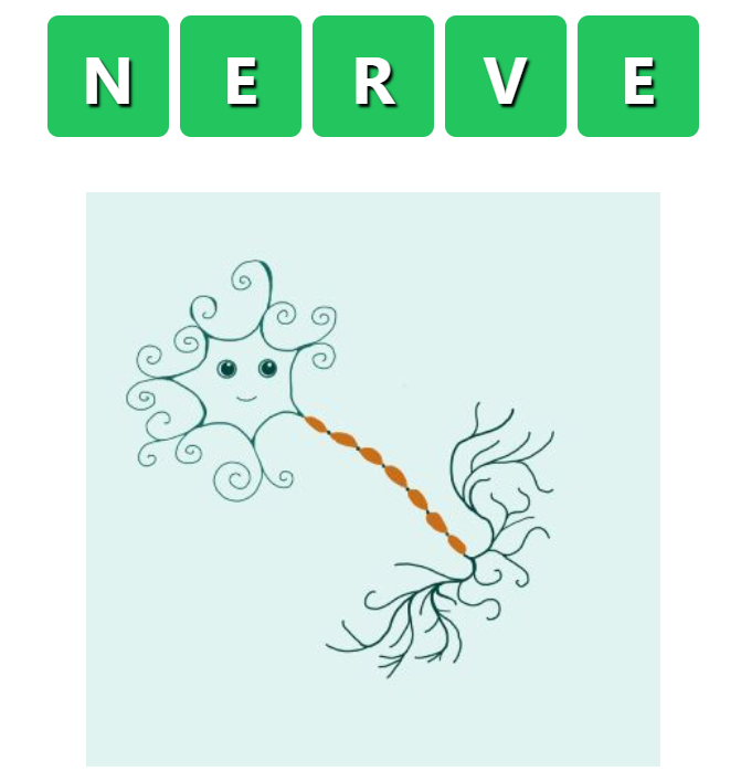 Neurdle - Neurology Word Game tweet media