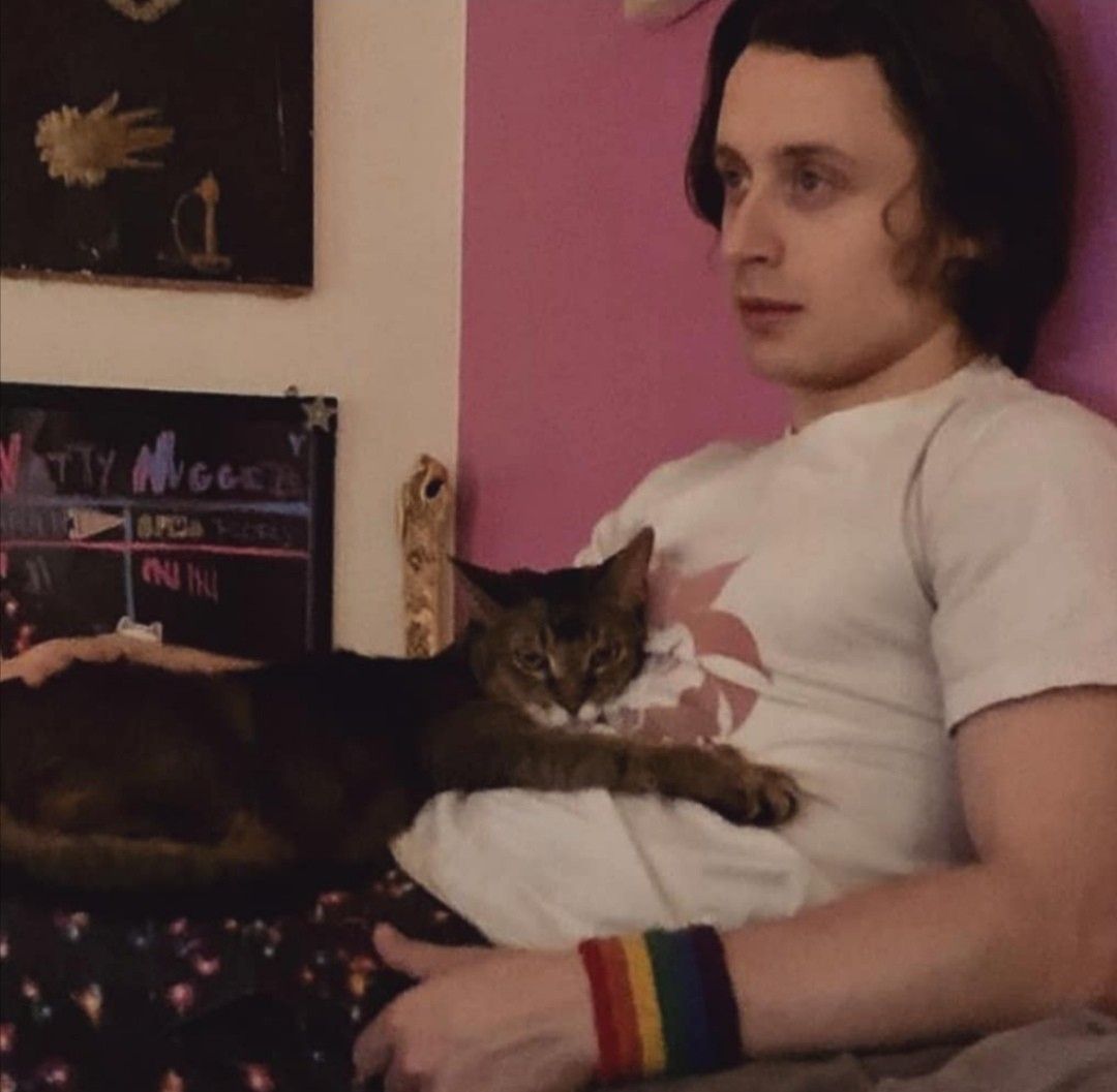 rorydailys's tweet photo. rory with cats is double serotonin https://t.co/0Qf0dqlfWS