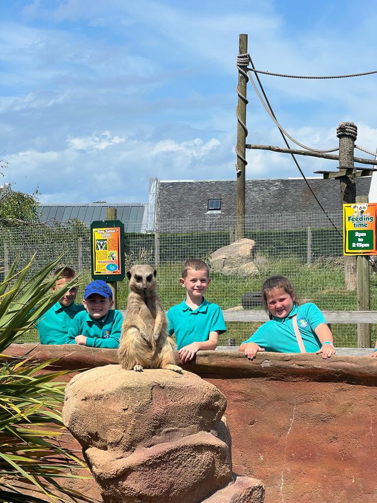 FordbankPS's tweet photo. Our #HealthWeek2023 continued with our whole school trip to #HeadsofAyr which was utterly brilliant. Pupils and staff loved the time there with sun, animals and rides/activities on offer (2) #community #wholeschooltrip ☀️ 🍦 https://t.co/JOf81tnpgb