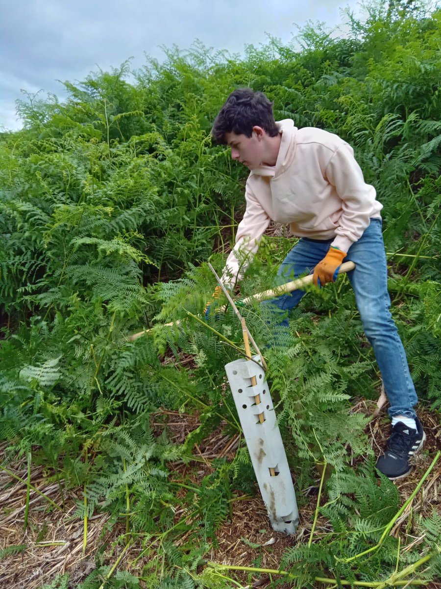 Had a great day with Rugby School friends bracken bashing around new trees at Hollin Bank after their GCSEs. Tough but important work. As a reward, we hiked to Stanage Edge. The stunning views won over some skeptics. #ServiceDay <a href="/peakdistrict/">Peak District National Park</a> #volunteering #peakdistrict