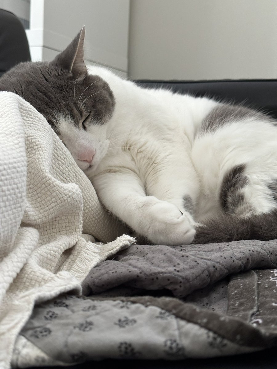 Tough day - we’re done here