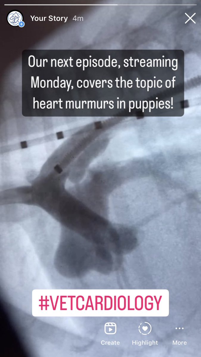 T minus 4 days until episode two goes live! #vetcardiology available on Spotify, Amazon and maybe even Apple will have caught up by then!