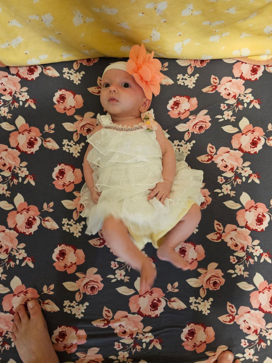 MrsBanjoThings's tweet photo. Here is evee at 11 weeks old https://t.co/Y0saraSXM9