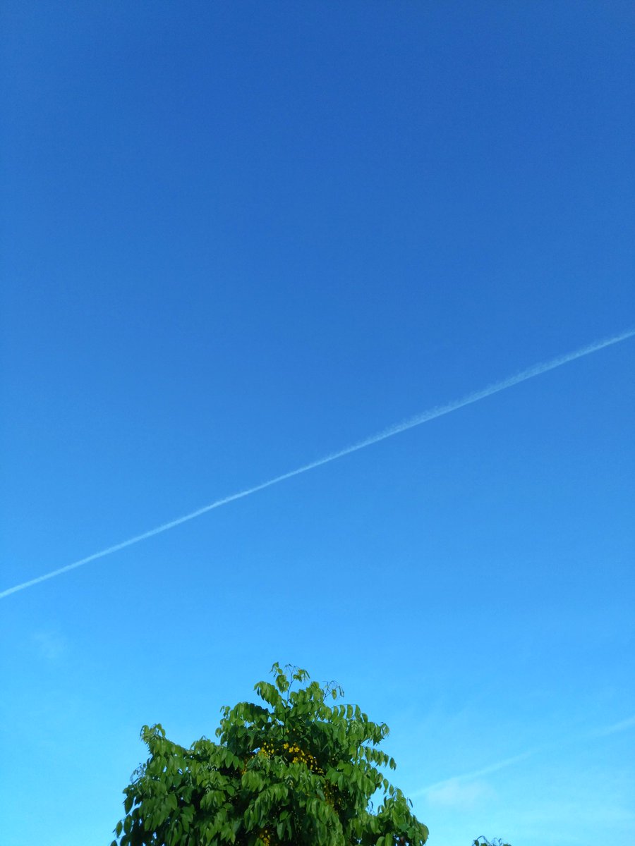 今朝は、飛行機✈雲がすごい🤩✨✨

#沖縄　#イマソラ