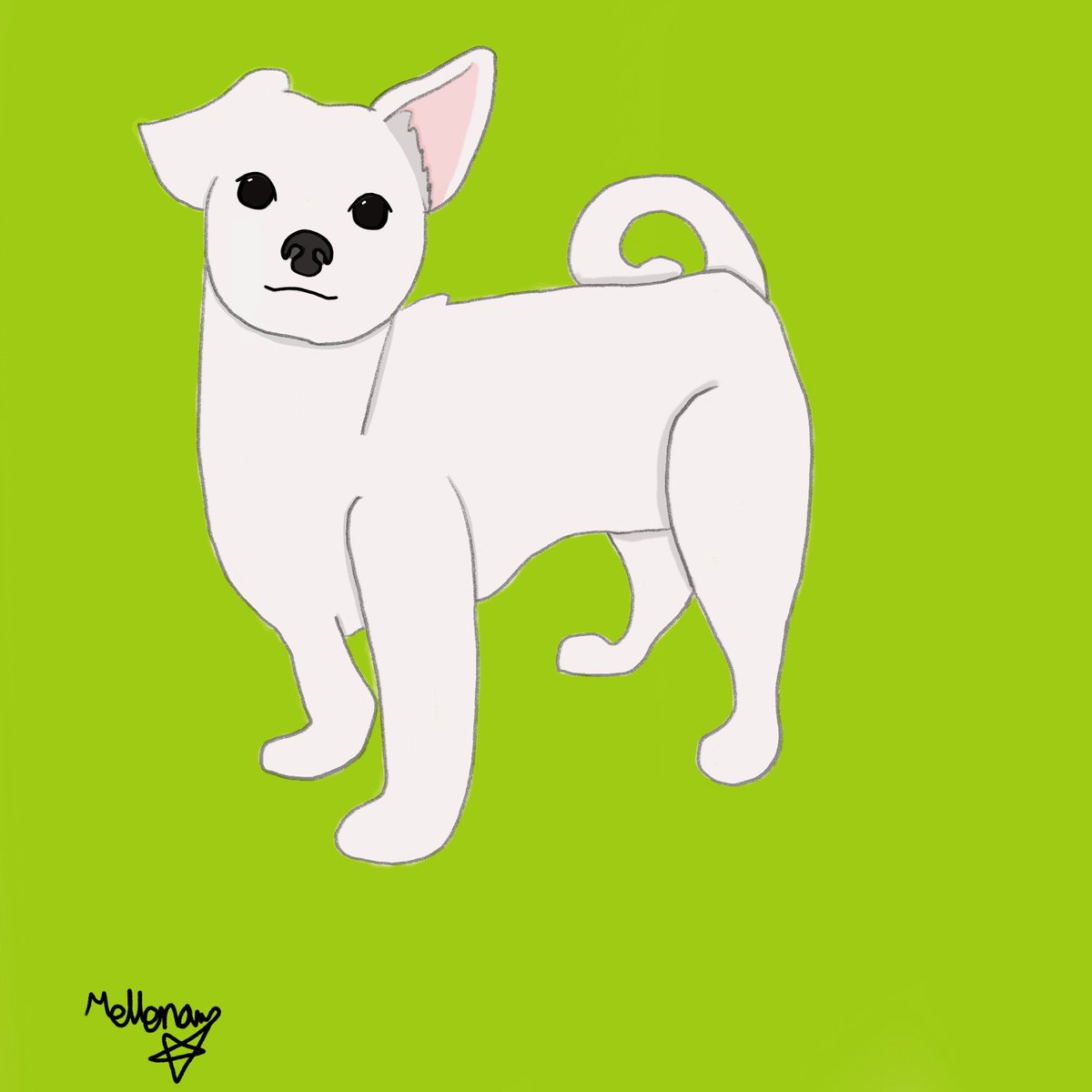 #콕카스_반려동물_합작

우리집 강아지 어렸을때 모습을 그려놓은게 있었어서 그려놓은걸 올립니다. 표정이 원본과 달라도 귀여운건 똑같아요~ㅎㅎ 저때 사진은 아마 울집 개가 2살때쯤이에요 지금은 할배죠 15살 사람나이로는 86세라네요😂
강아지든 고양이든...사람이든 건강하게 삽시다❤