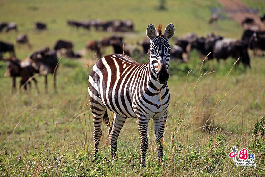 리니지M tweet media