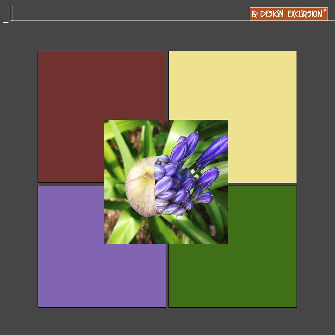 designexcursion's tweet photo. purple and lemon work with green and tan
#moodboard #tetrad #contrast #colourschemes #adesignexcursion #interiordesign https://t.co/smwhbajA4n