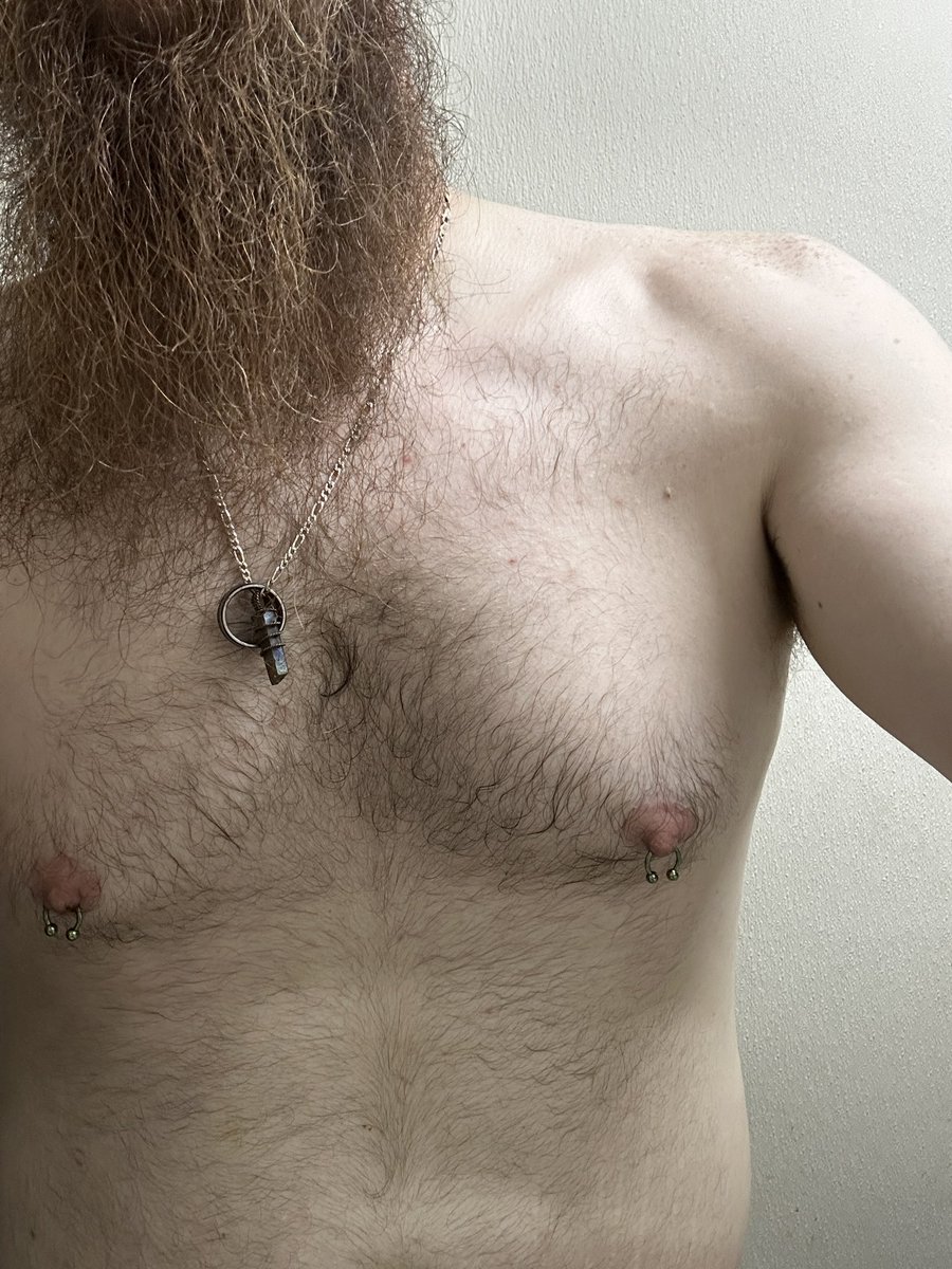 bibearbaker tweet media