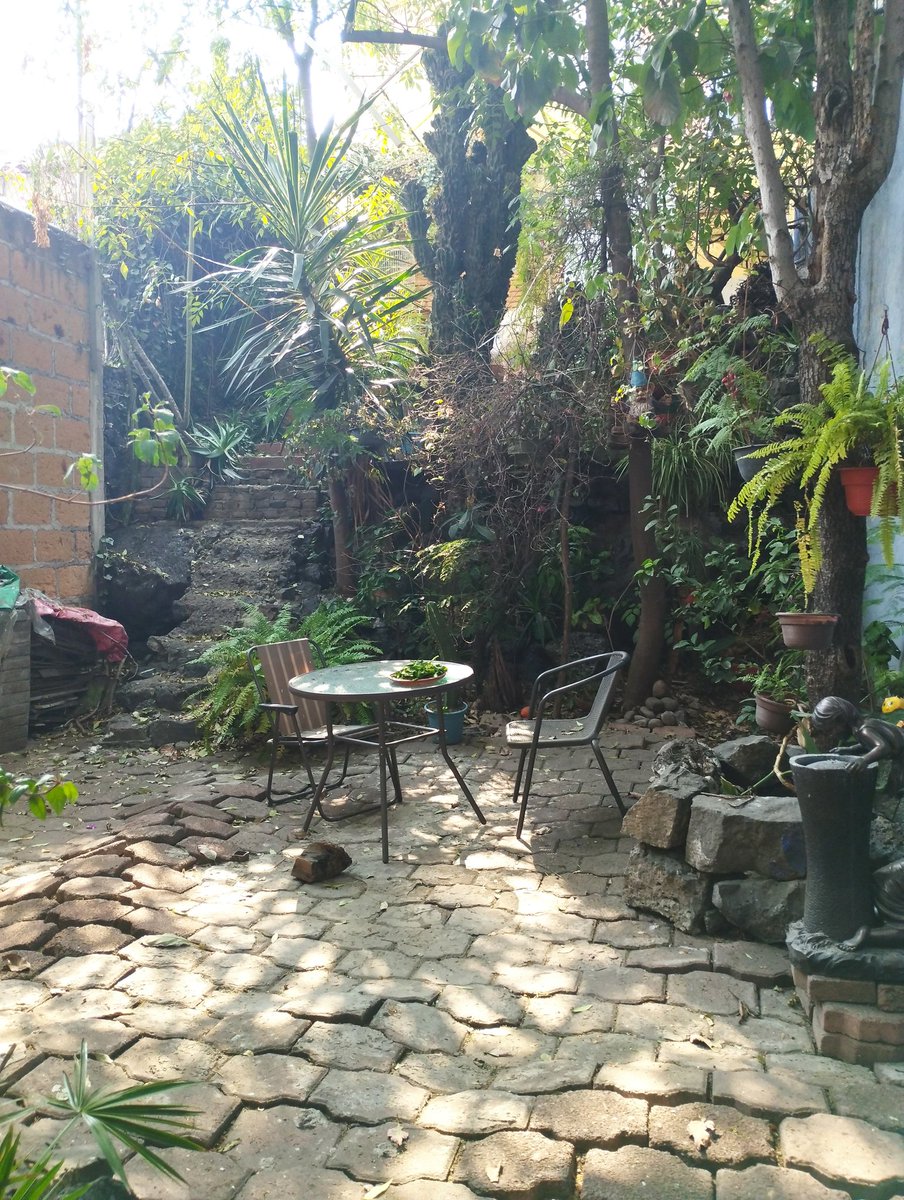 GinesCruz's tweet image. Amigxs,  entren al #TrainingDeDramaturgia es un taller totalmente práctico, escribes mucho en todas las sesiones y recibes retroalimentación de cada ejercicio. Está dirigido a principiantes, sobre todo. 

Cualquier duda acá ando. 
Presencial en el bello espacio de la foto.