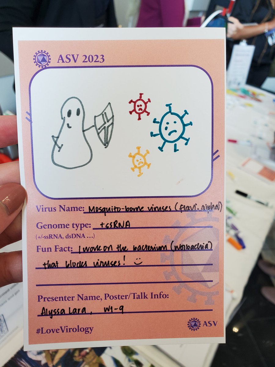 #ASV2023 was such a blast!! I'm very happy to have been given the opportunity to present my work on #Wolbachia #viralblocking!! 🦠 [1/5]