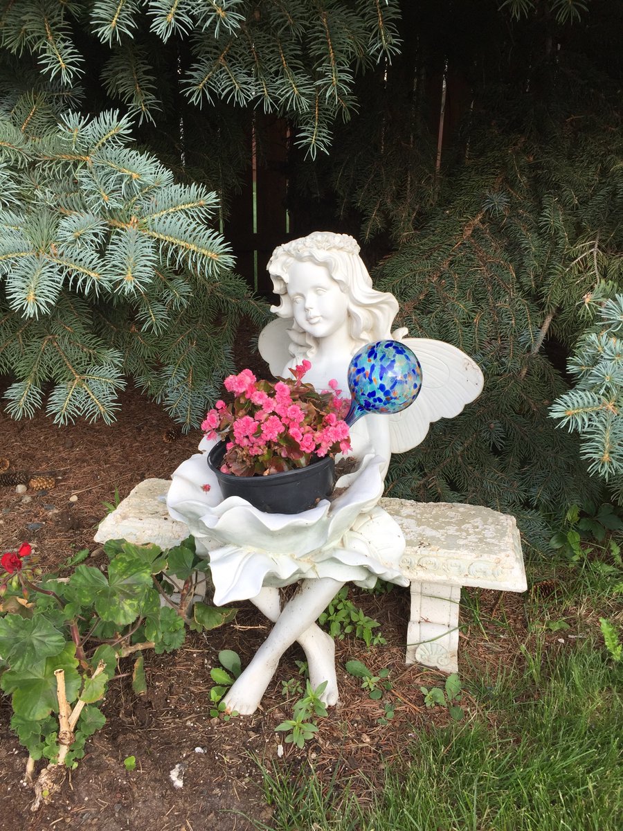 MarkHaugen20's tweet photo. May your day blossom with joy and happiness. https://t.co/86Til1CVhI