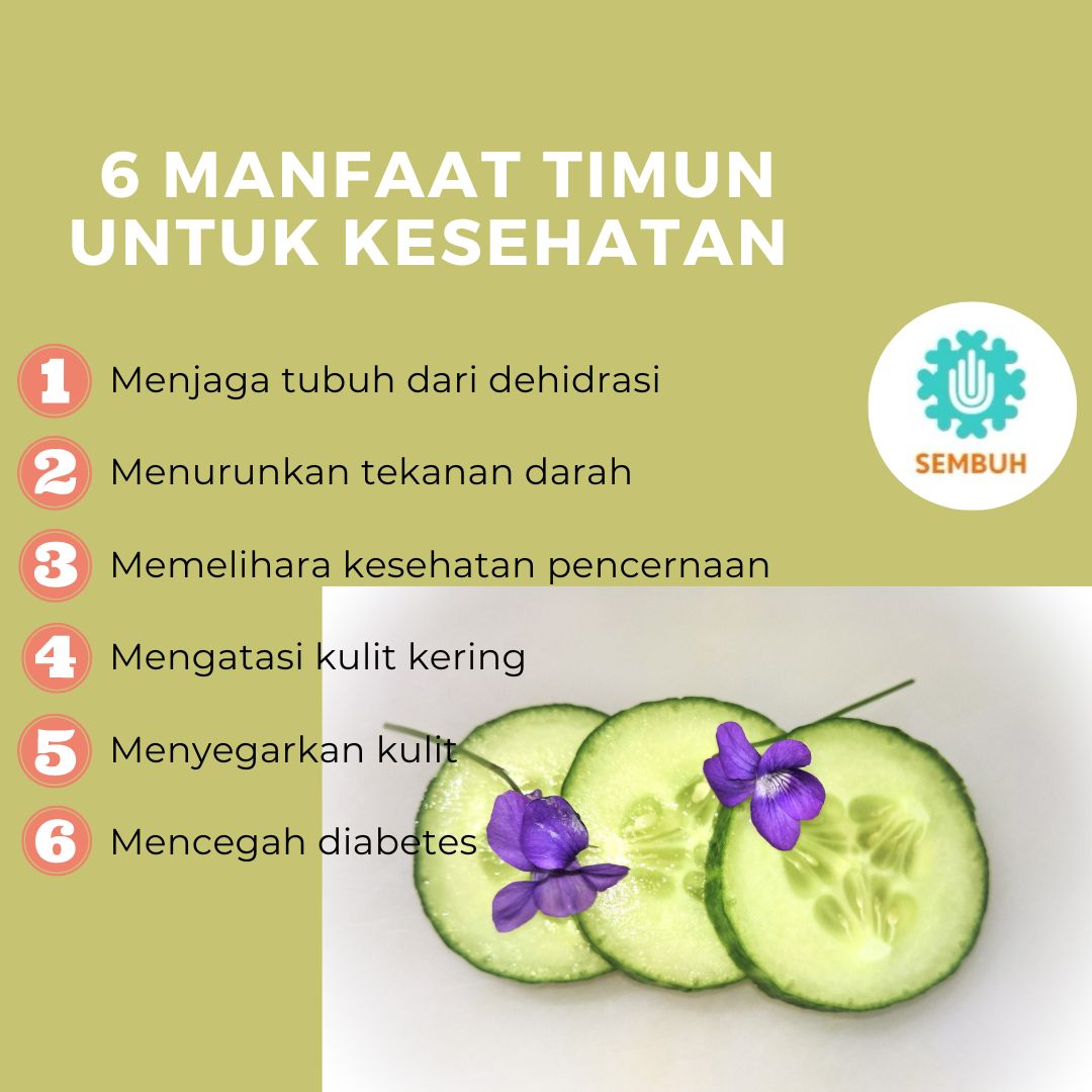 sembutopia's tweet image. #Sembutopia #InfoSembutopia #Timun #Cucumber