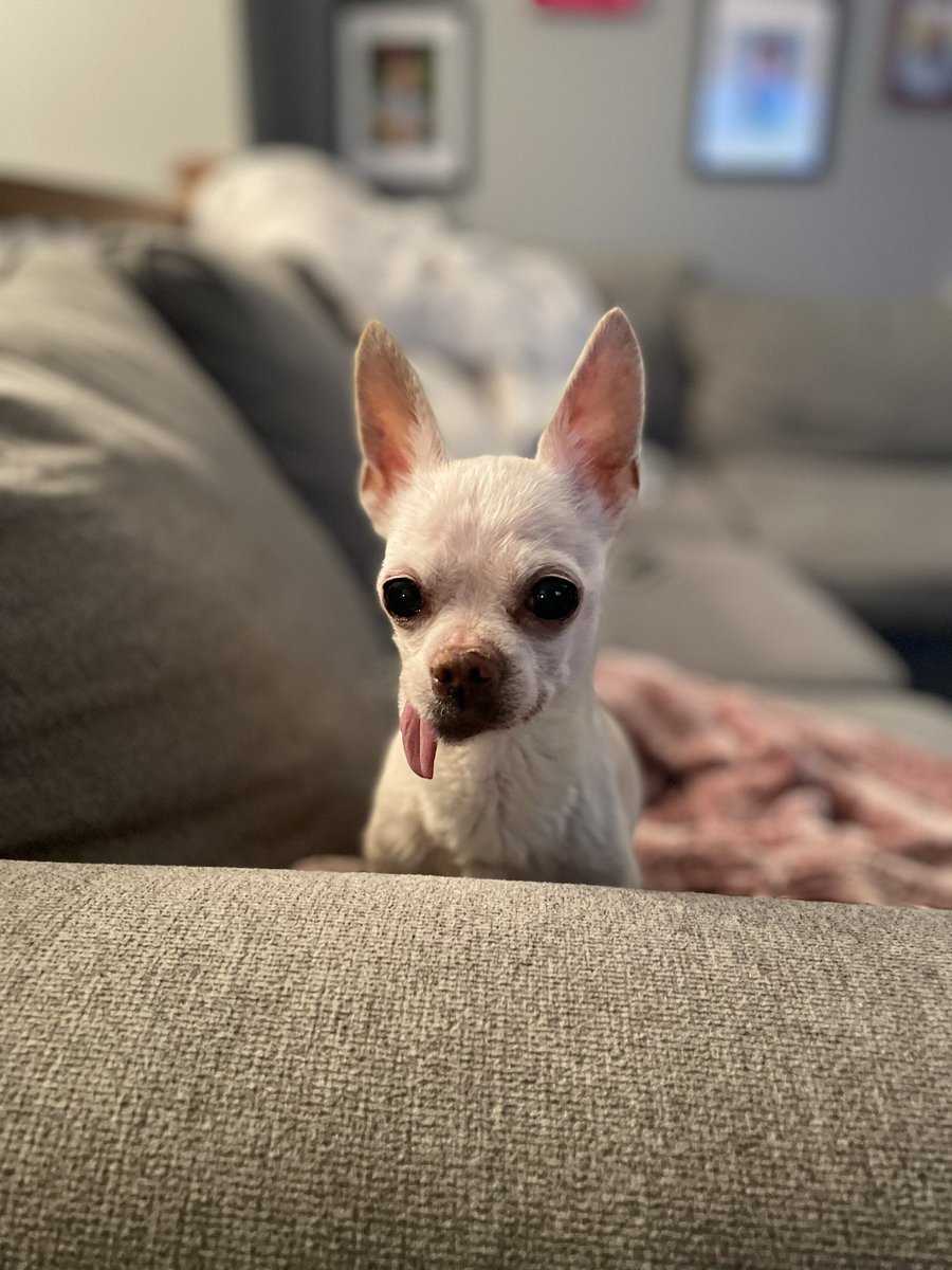 saisonpapi's tweet image. Lola girl, Lolisa, Lolita, Baby Girl