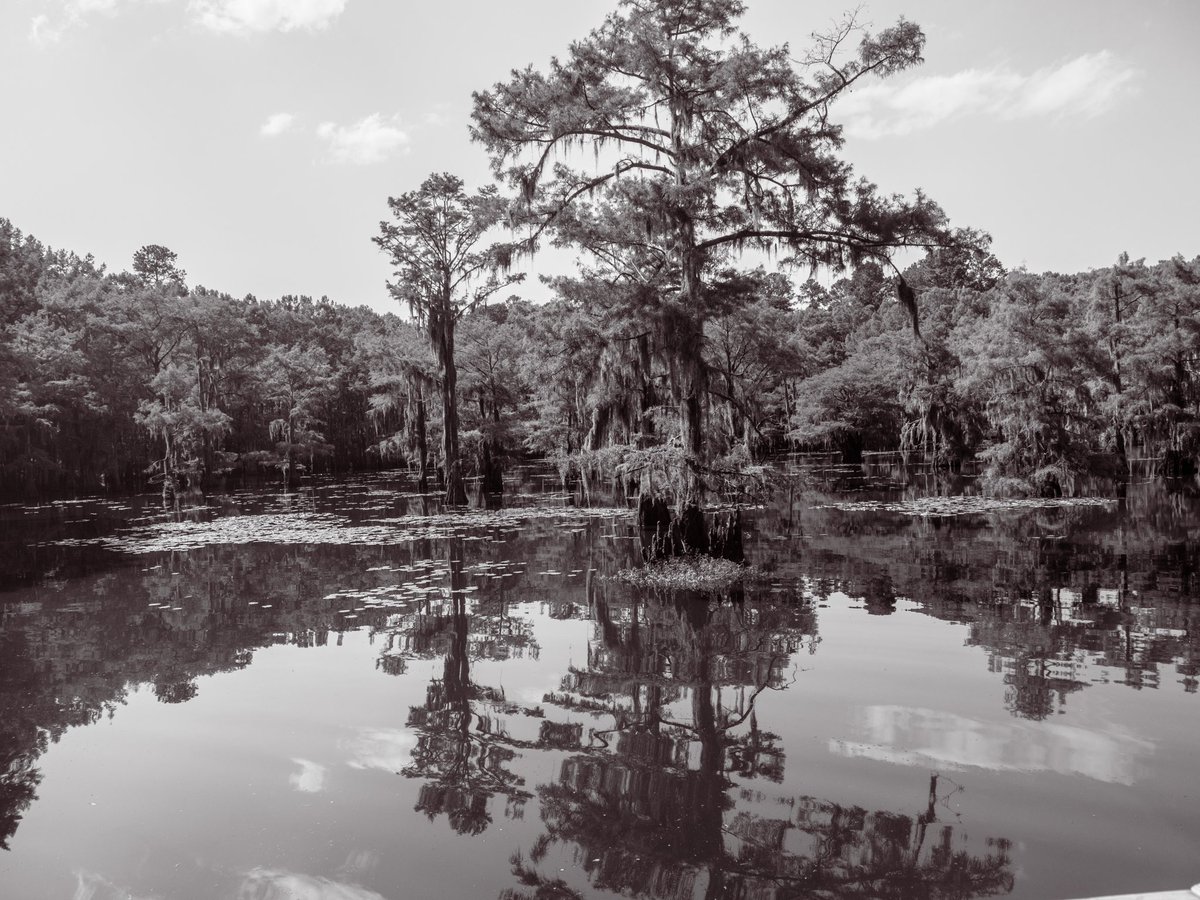 Caddo Lake is a must if you’re in East Texas, there’s a reason it’s considered one of the most beautiful!

#caddolakestatepark #lumix #lumixg9 #wherelumixgoes #lumixmoment #changingphotography #yourshotphotographer  #optoutside #adventureawaits #neverstopexploring