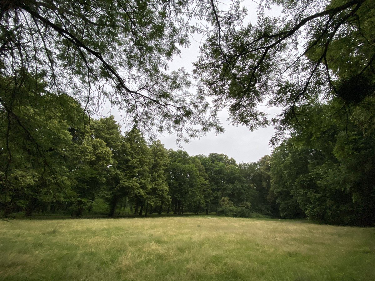 Thanks June ‘23 #GratitudeRUN 🙌🏻