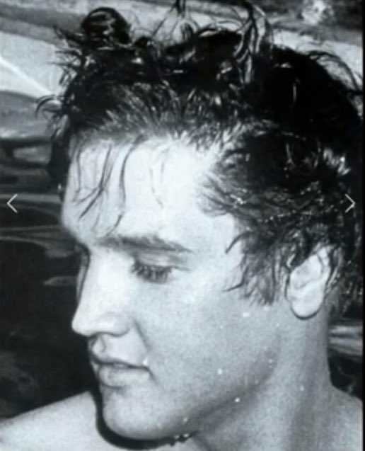 Lynette Rizzo/saw Elvis x 19 on Twitter: 