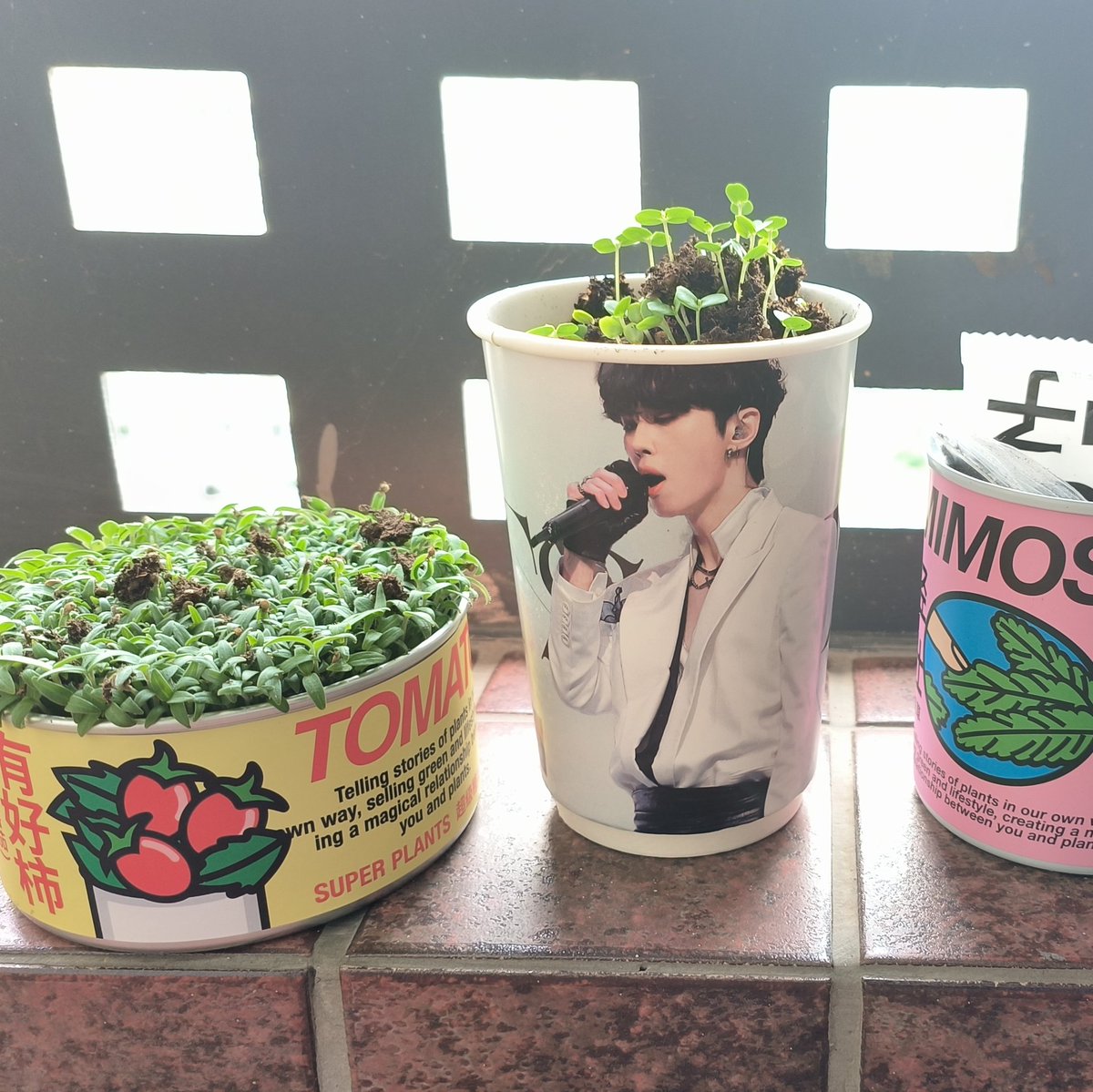 Found a nice way to make use of the cup🌱🌱🌱💚💚💚